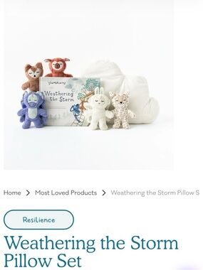 Weathering the Storm Pillow Set - Cream, Blue, Purple, Brown Plush Friends